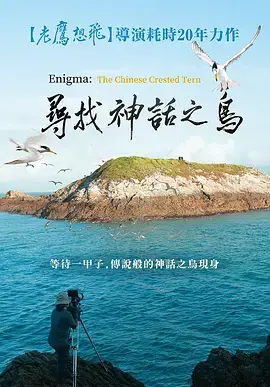《寻找神话之岛》:一场奇幻冒险之旅,探寻失落的传说!