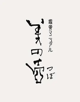 《美之壶》：NHK纪录片中的侘寂之美，探寻日常物件背后的文化密码与心灵慰藉