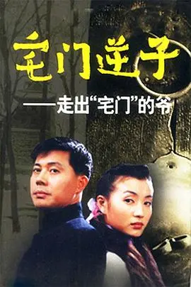 《宅门逆子》：家族恩怨纠葛下的罪与罚，血脉亲情能否洗涤罪孽？