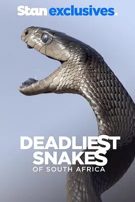《南非致命毒蛇》：揭秘惊魂时刻，国家地理镜头下的残酷生存法则与罪案追踪